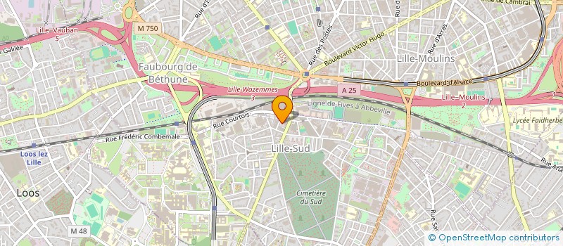 localisation de l'entreprise MADAME CLAUDINE MASSET à LILLE