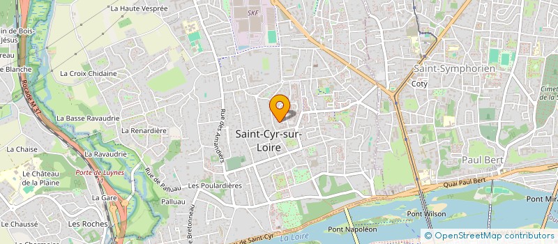 localisation de l'entreprise MADAME CLAUDINE NEGRA  SAINT-CYR-SUR-LOIRE