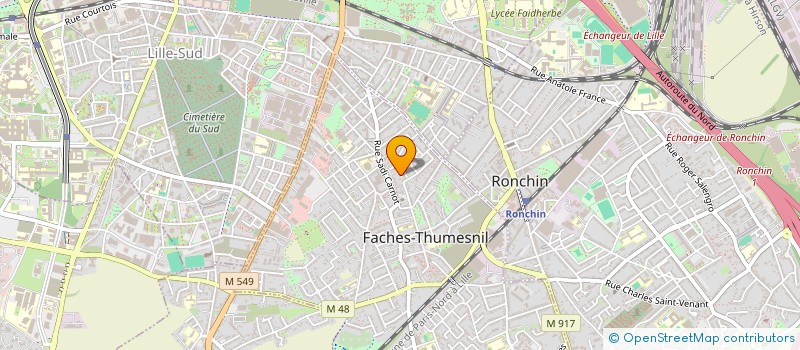 localisation de l'entreprise MADAME CLAUDINE ROMAN  FACHES-THUMESNIL