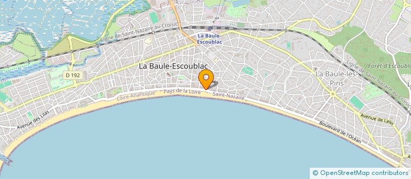 localisation de l'entreprise MADAME CLAUDINE TRICOIRE à LA BAULE-ESCOUBLAC