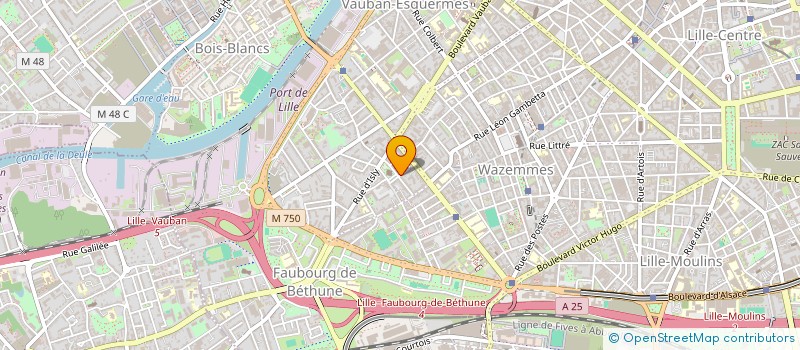 localisation de l'entreprise MADAME CLAUDINE VENEKAS à LILLE