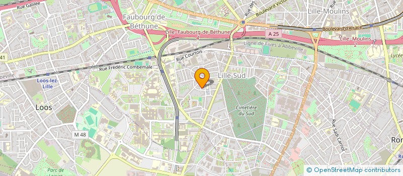 localisation de l'entreprise MADAME CLELIA AMATO à LILLE