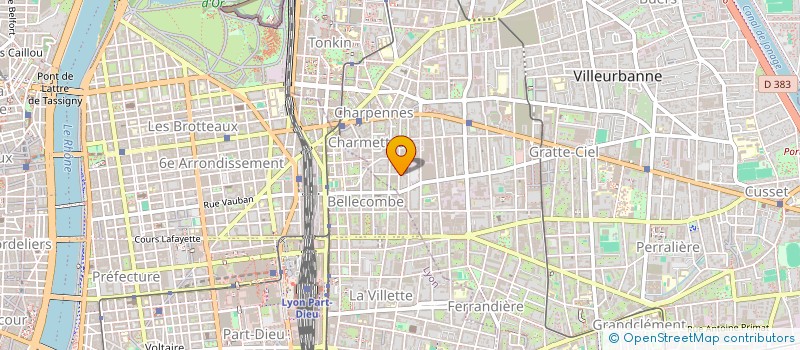 localisation de l'entreprise MADAME CLELIA LARVARON  VILLEURBANNE