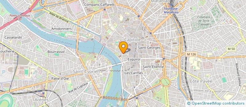localisation de l'entreprise MADAME CLEMENCE ARAUD  TOULOUSE
