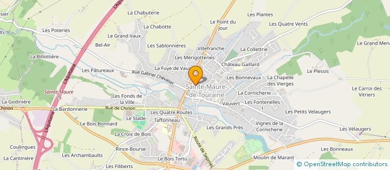 localisation de l'entreprise MADAME CLEMENCE BLONDEAU  SAINTE-MAURE-DE-TOURAINE