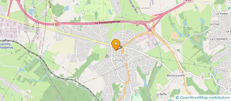 localisation de l'entreprise MADAME CLEMENCE COTTIN  LA TOUR-DE-SALVAGNY