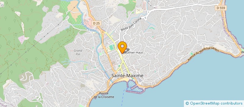 localisation de l'entreprise MADAME CLEMENCE LEVAVASSEUR à SAINTE-MAXIME