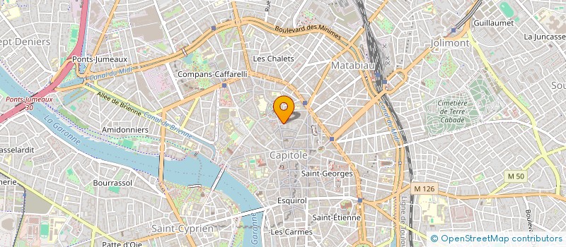 localisation de l'entreprise MADAME CLEMENCE RADOVITCH à TOULOUSE