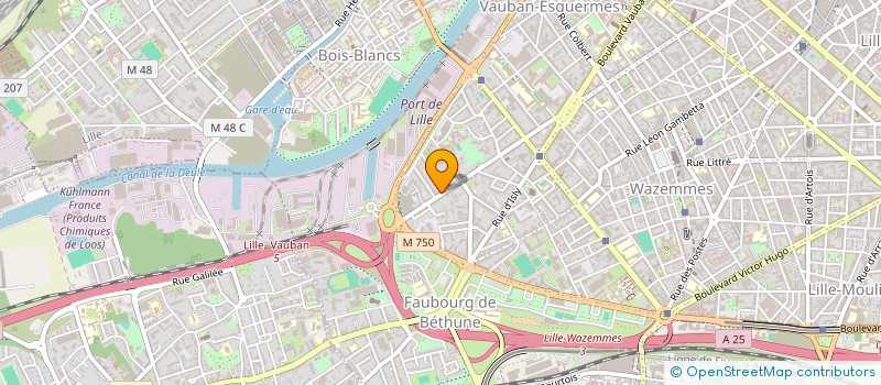 localisation de l'entreprise MADAME CLEMENTINE CLEMENTINE LURIE à LILLE