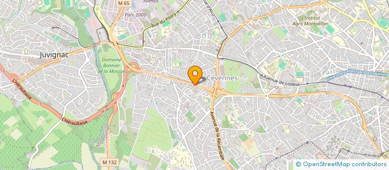 localisation de l'entreprise MADAME CLEMENTINE DI PLACIDO à MONTPELLIER