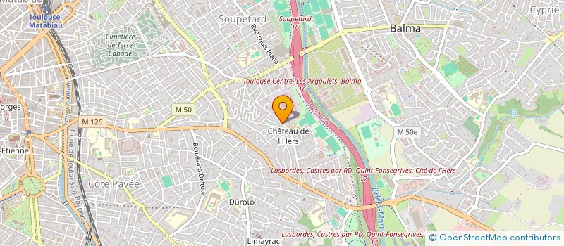 localisation de l'entreprise MADAME CLEMENTINE FRANCESCHIN à TOULOUSE