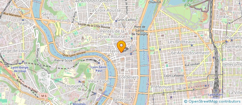 localisation de l'entreprise MADAME CLEMENTINE LOUP à LYON