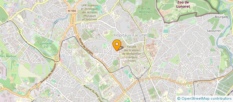 localisation de l'entreprise MADAME CLEMENTINE PITANCE à MONTPELLIER