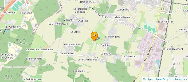 localisation de l'entreprise MADAME CLEMENTINE ROUSSEAU  JOUE-LES-TOURS
