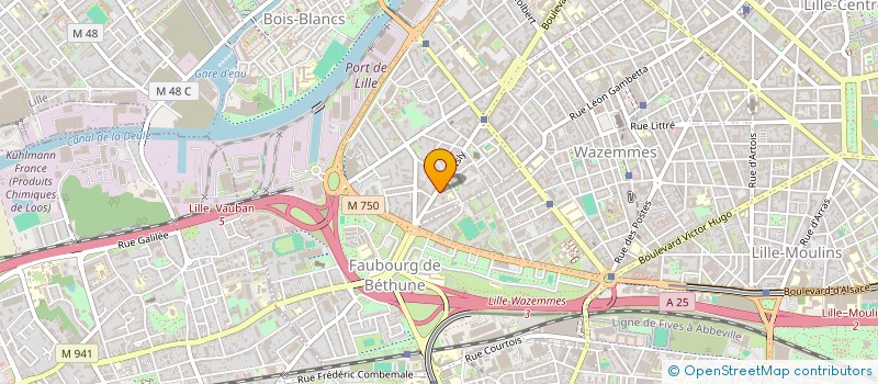 localisation de l'entreprise MADAME CLEMENTINE STERIN à LILLE