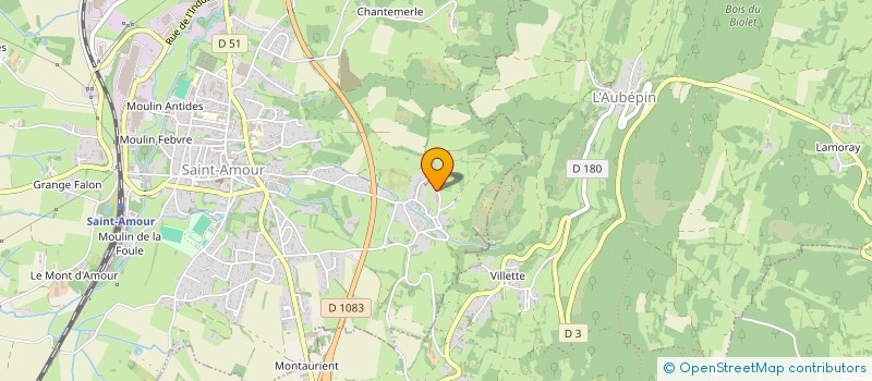 localisation de l'entreprise MADAME CLEMENTINE TAMISIER  SAINT-AMOUR