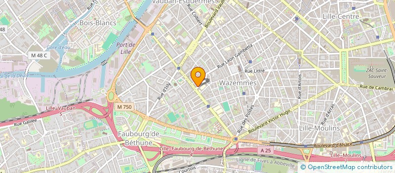 localisation de l'entreprise MADAME CLOTILDE AUBOEUF  LILLE