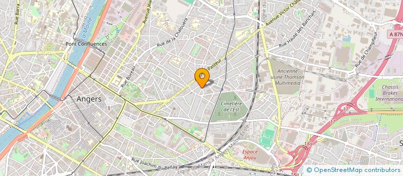 localisation de l'entreprise MADAME CLOTILDE JOCHAUD DU PLESSIX à ANGERS