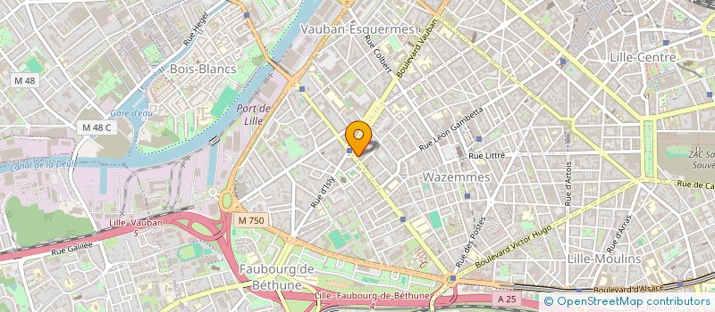 localisation de l'entreprise MADAME CLOTILDE MELQUIOR à LILLE