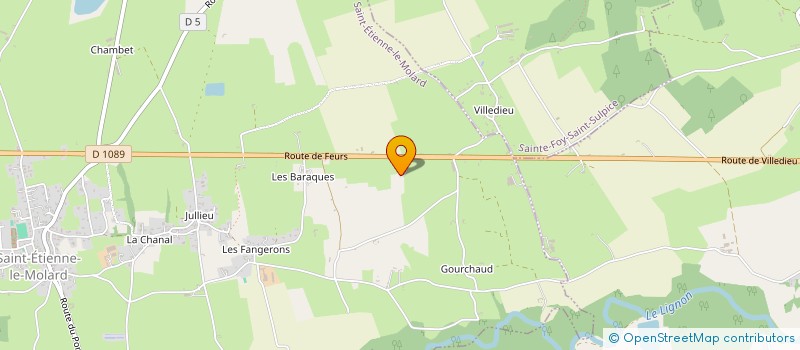 localisation de l'entreprise MADAME CLOTILDE MOLLON  SAINT-ETIENNE-LE-MOLARD