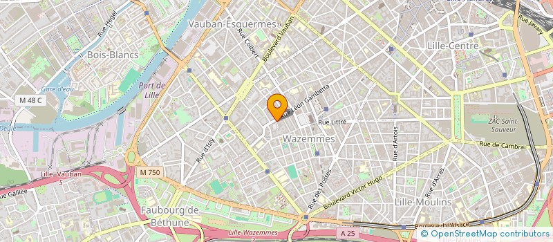 localisation de l'entreprise MADAME CLOTILDE VILLEMIN à LILLE