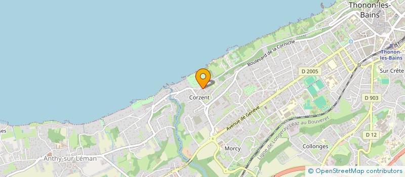 localisation de l'entreprise MADAME CODRUTA LOREDANA DAN à THONON-LES-BAINS