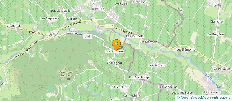 localisation de l'entreprise MADAME COLETTE BAZARD  CHENAS