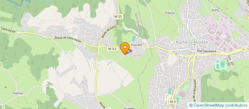 localisation de l'entreprise MADAME COLETTE CHARRA  SAINT-ETIENNE