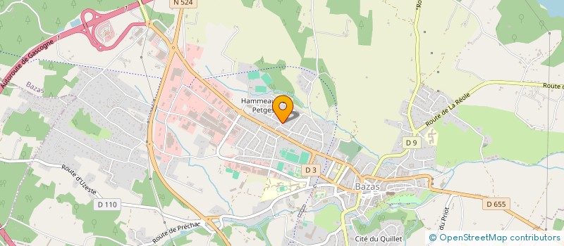 localisation de l'entreprise MADAME COLETTE DE PEYRUSSE  BAZAS