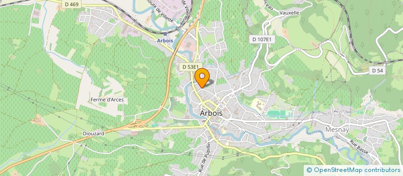 localisation de l'entreprise MADAME COLETTE PETIT  ARBOIS