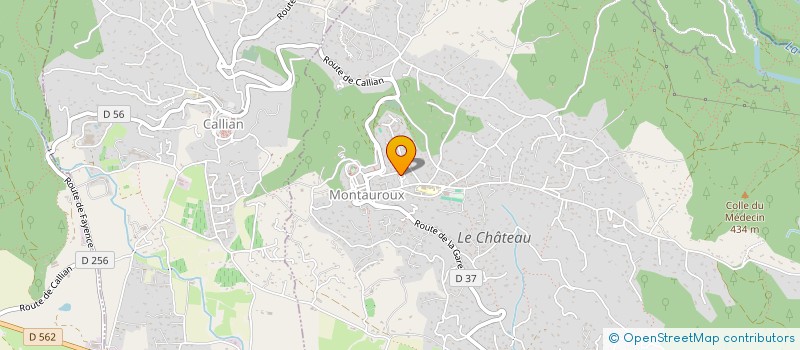 localisation de l'entreprise MADAME COLINE DARRAS  MONTAUROUX