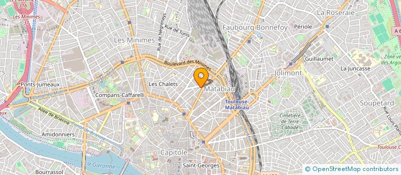 localisation de l'entreprise MADAME COLLINE BERJOT à TOULOUSE