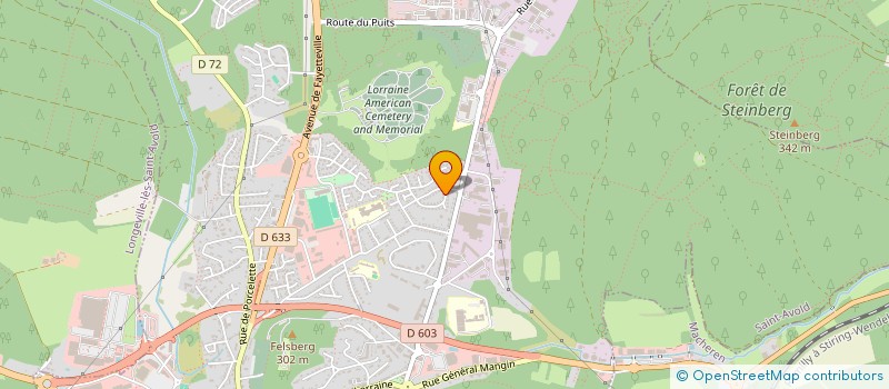 localisation de l'entreprise MADAME CONSTANCE BOUR  SAINT-AVOLD