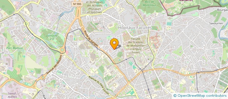 localisation de l'entreprise MADAME CONSTANCE BURGAUD à MONTPELLIER