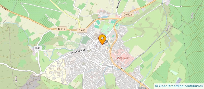 localisation de l'entreprise MADAME CONSUELO SANTIAGO  THUIR