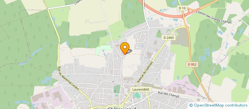 localisation de l'entreprise MADAME CORALIE BOISMOREAU à CHATEAUNEUF-SUR-LOIRE