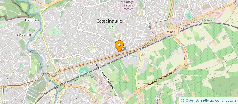 localisation de l'entreprise MADAME CORALIE CALISTRI à CASTELNAU-LE-LEZ