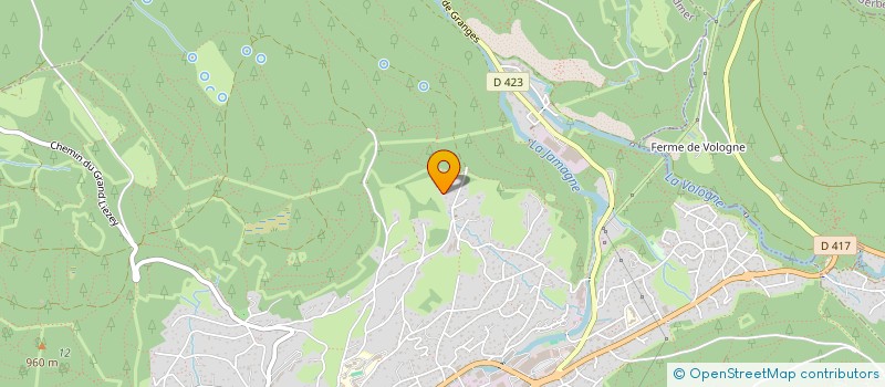 localisation de l'entreprise MADAME CORALIE FRIEDRICHS  GERARDMER