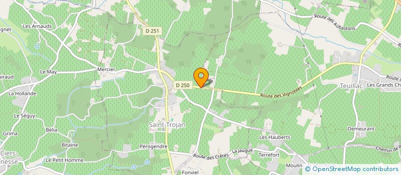 localisation de l'entreprise MADAME CORALIE ROUFFIGNAC  SAINT-TROJAN