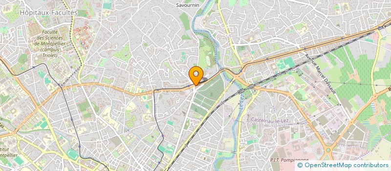 localisation de l'entreprise MADAME CORINA TEACA-DOBROS à MONTPELLIER