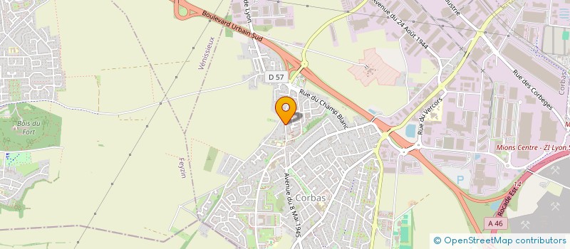 localisation de l'entreprise MADAME CORINE TAN à CORBAS