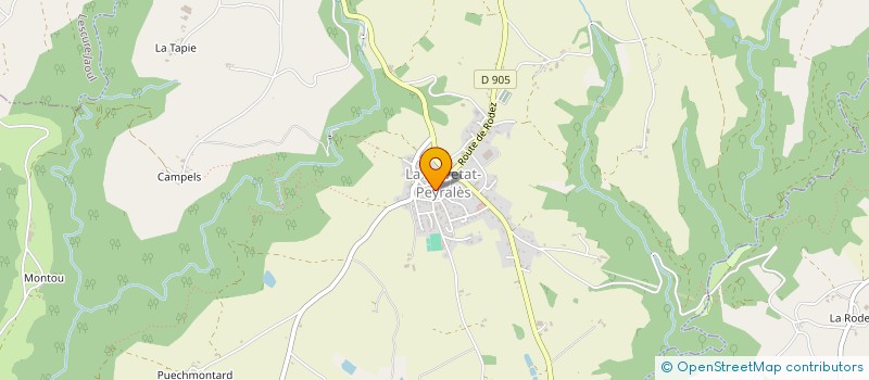 localisation de l'entreprise MADAME CORINNE BOUSQUIE  LA SALVETAT-PEYRALES