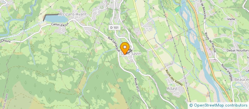 localisation de l'entreprise MADAME CORINNE CARASSUS  SAINT-SAVIN