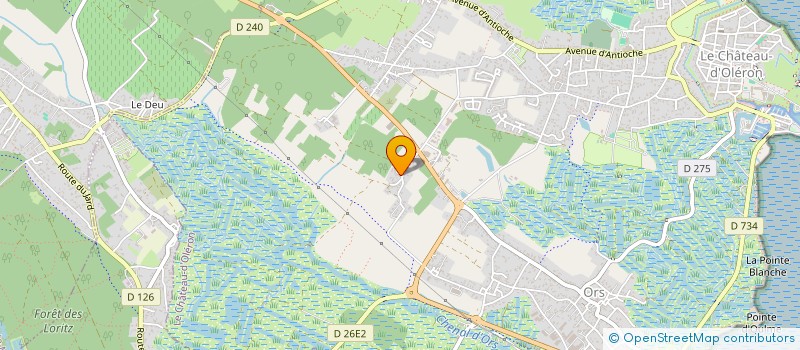 localisation de l'entreprise MADAME CORINNE JOUTEUX  DOLUS-D'OLERON