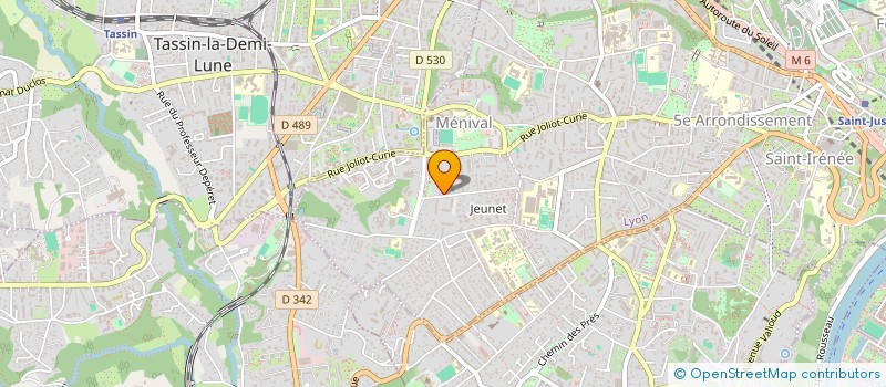 localisation de l'entreprise MADAME COSMINA ANCUTA FERENT PIPAS à LYON