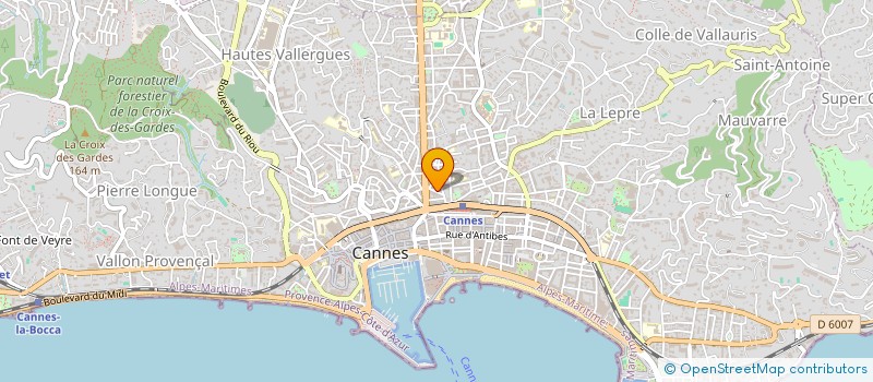 localisation de l'entreprise MADAME COSMINA GEORGIANA LAZAR à CANNES