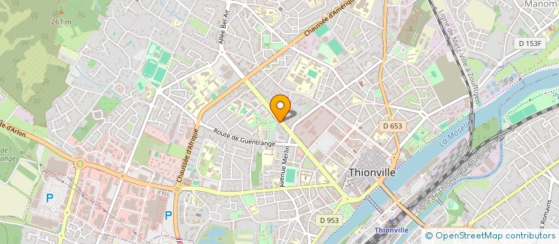 localisation de l'entreprise MADAME COUMBA CAMARA  THIONVILLE