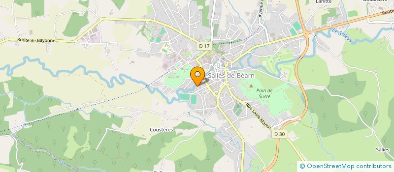 localisation de l'entreprise MADAME CRISTIANA BALASA  SALIES-DE-BEARN