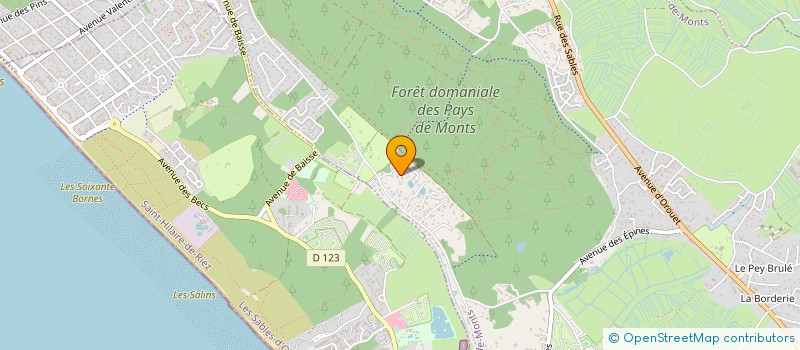 localisation de l'entreprise MADAME CRISTINA MACHADO  SAINT-JEAN-DE-MONTS