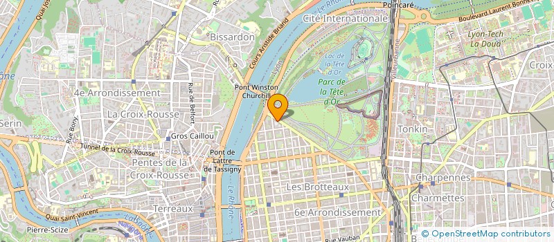 localisation de l'entreprise MADAME CRISTINA MARIA GOMES PACHECO  LYON